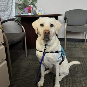 Mountain Vista High School